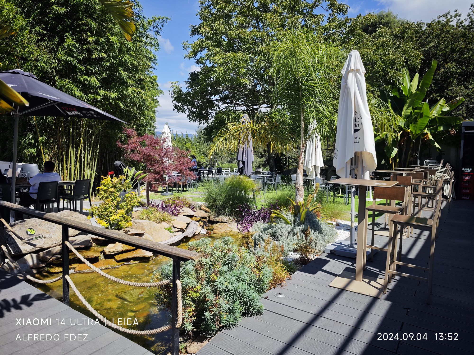 Terraza de madera con pequeño estanque, vegetación frondosa y sombrillas en un día soleado.