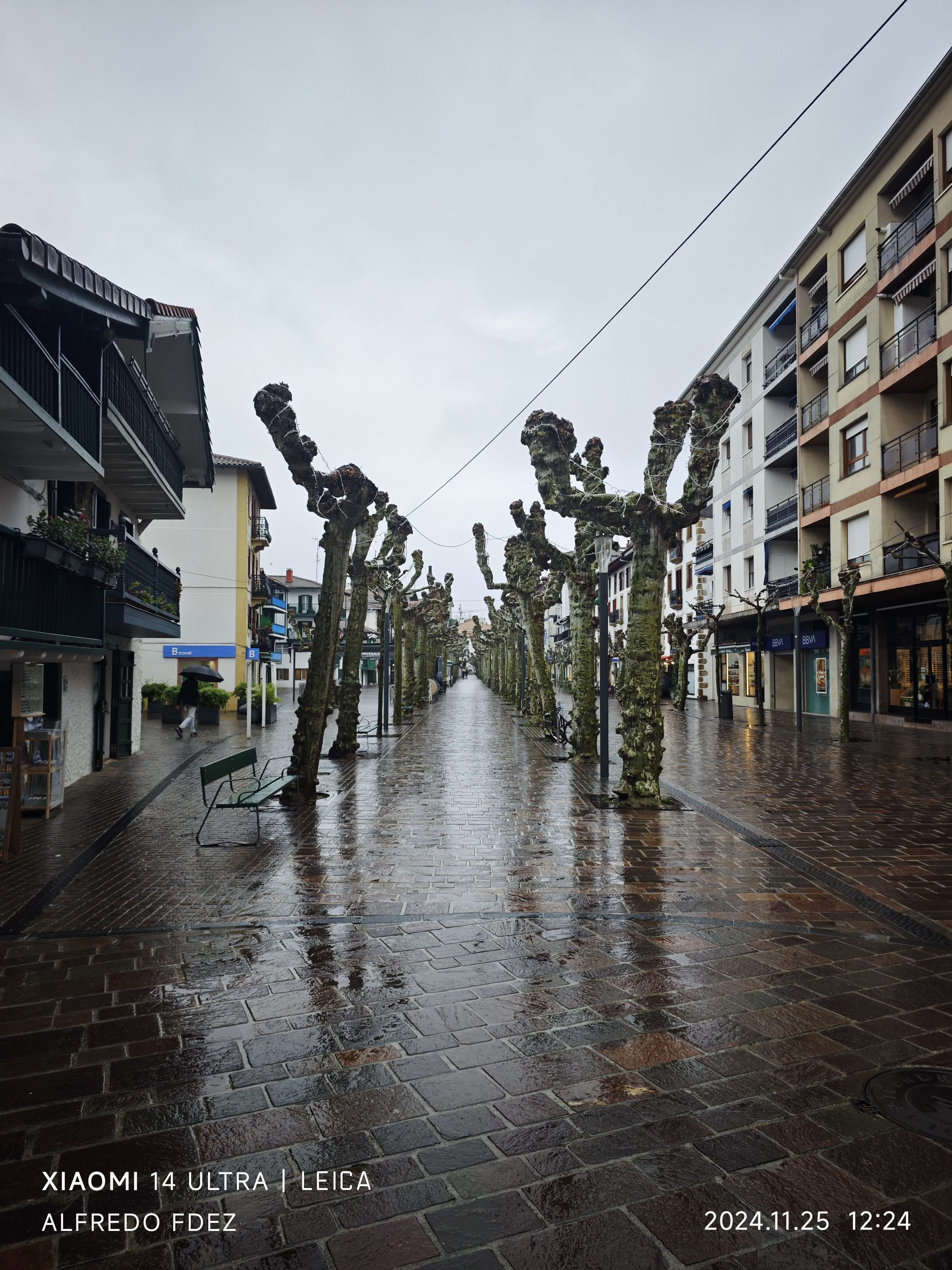 Calle peatonal mojada en Fuenterrabía flanqueada por árboles podados y edificios tradicionales.