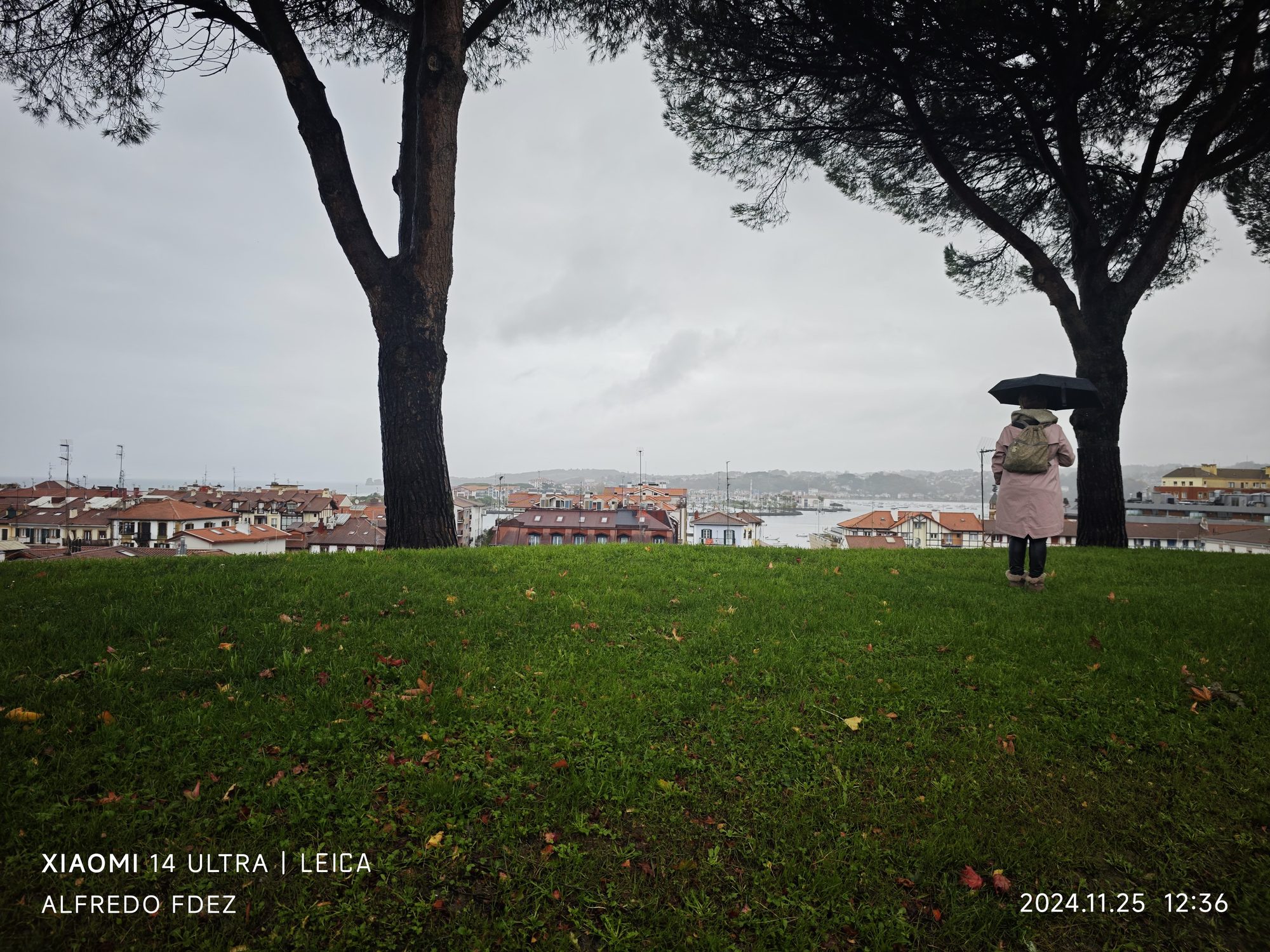 Vista panorámica de Fuenterrabía entre grandes árboles un día nublado desde un prado verde.