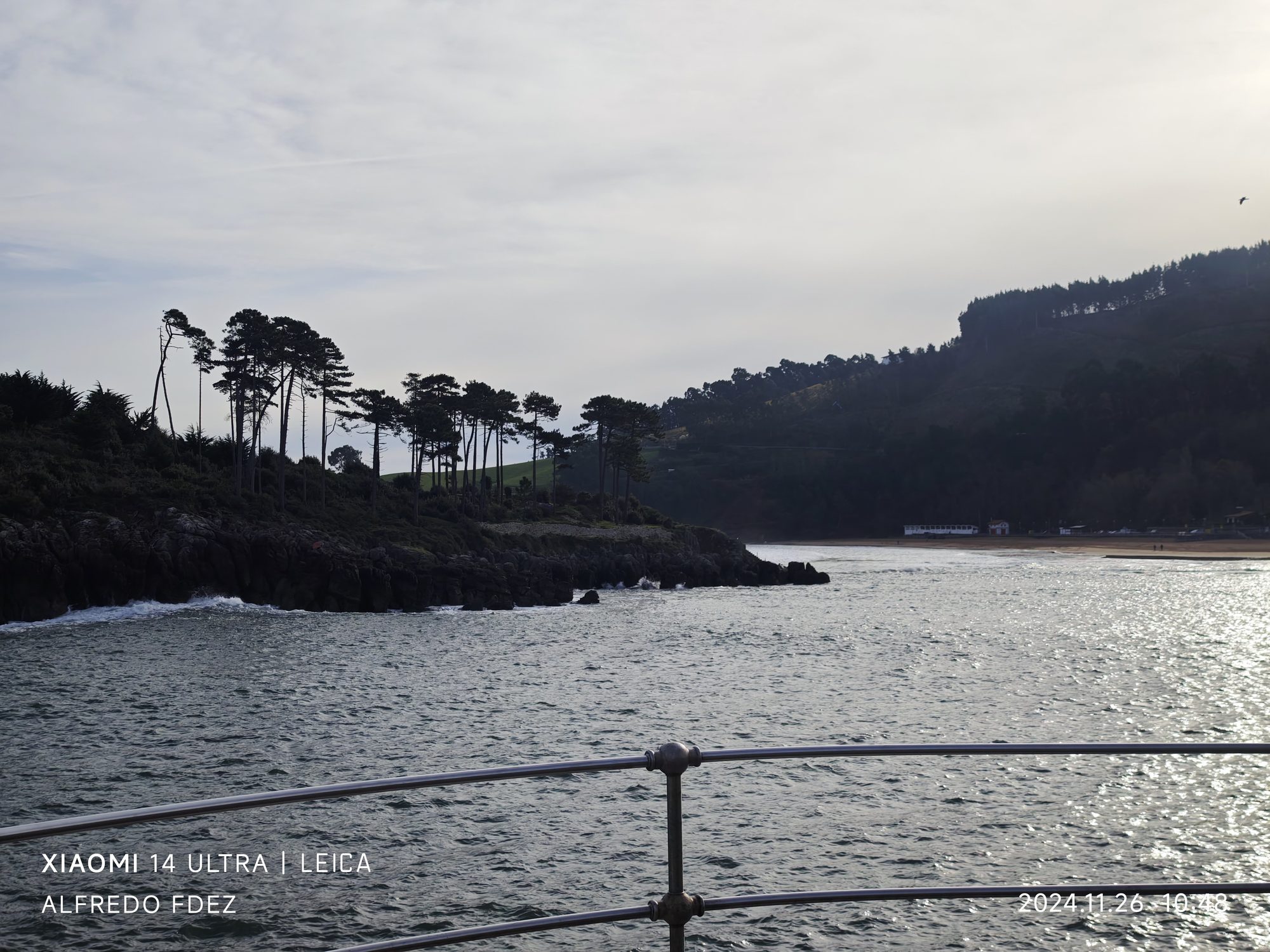 Pinos sobre acantilados rocosos junto al mar Cantábrico en la costa de Lequeitio.