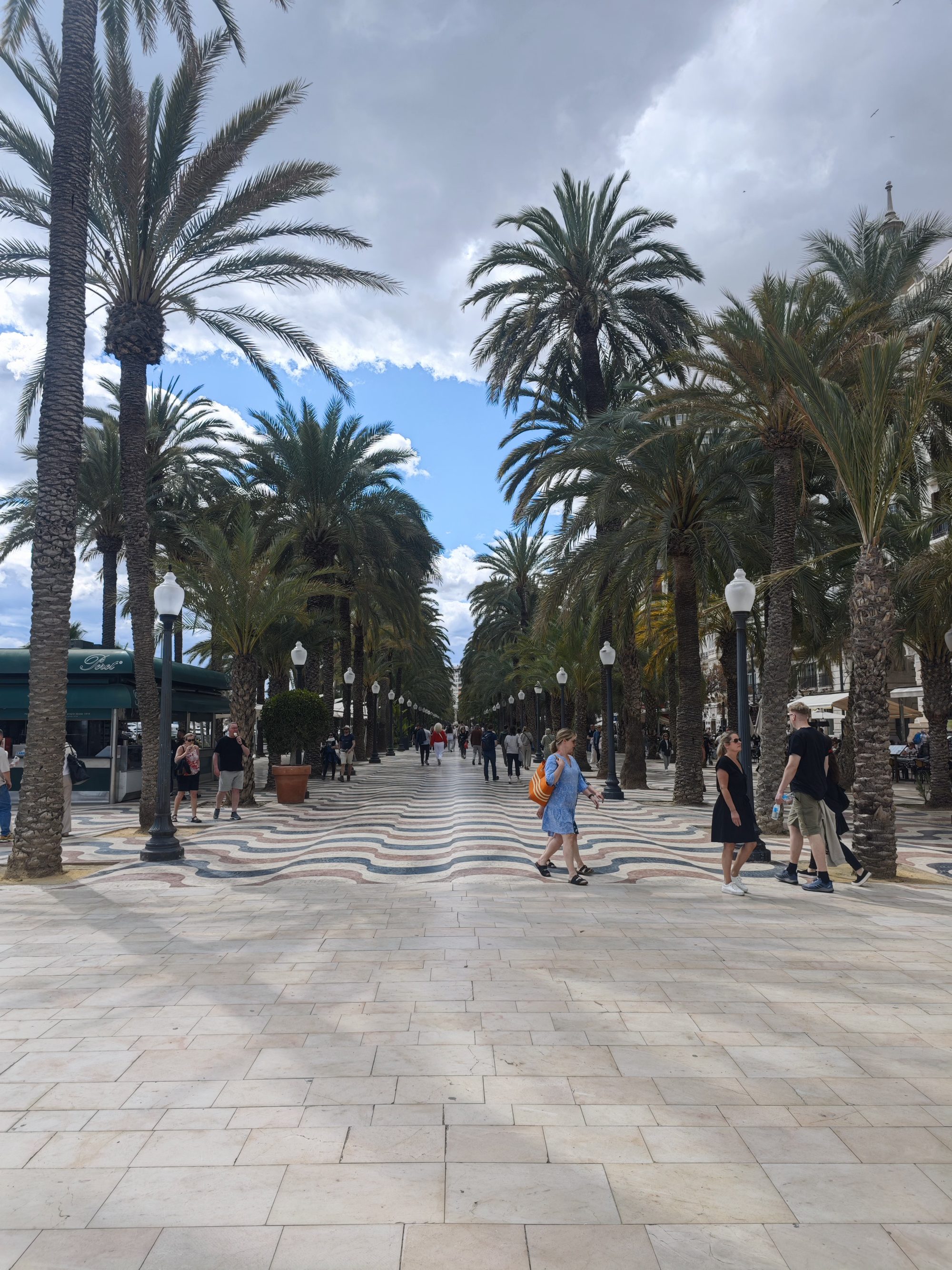 Paseo de la Explanada en Alicante con alineación de palmeras y suelo de mosaico tricolor.