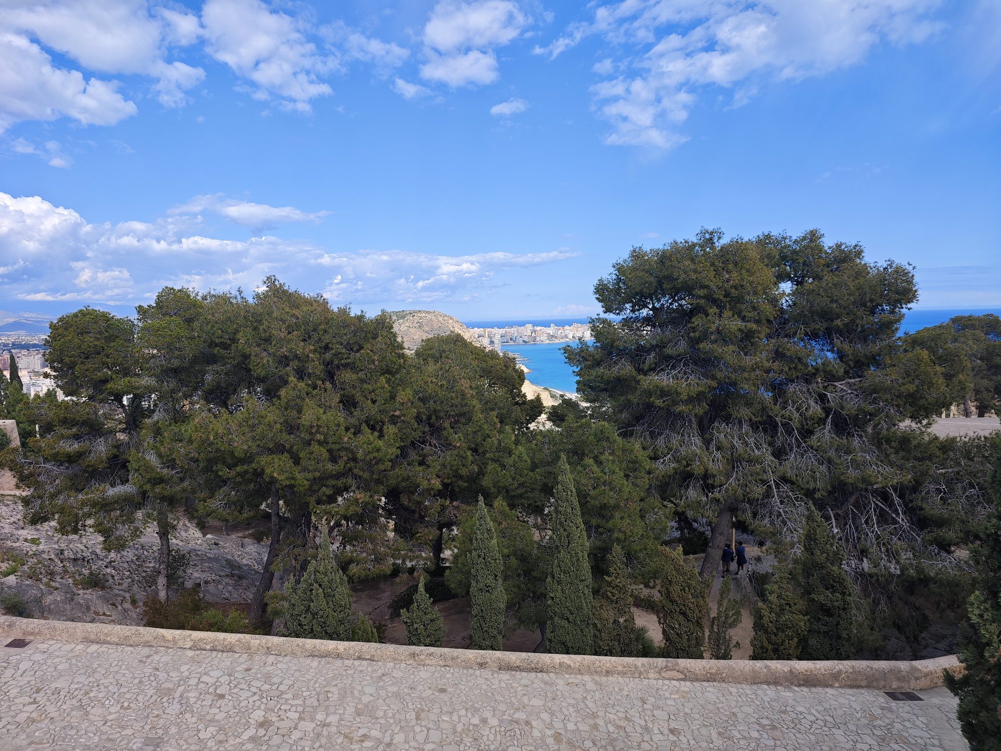 Vista panorámica del mar Mediterráneo y la costa de Alicante entre frondosos pinos verdes.