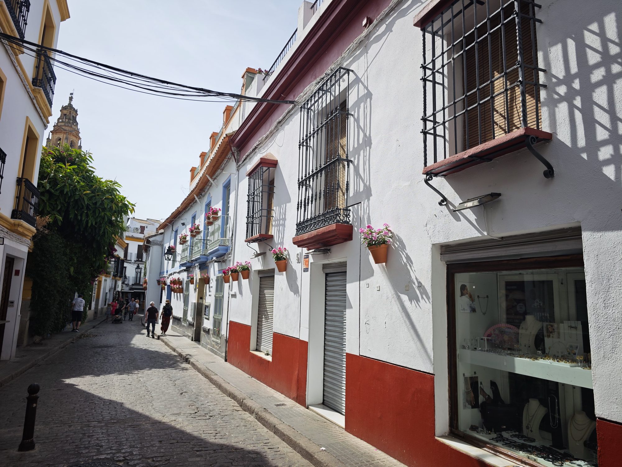 Calle empedrada de fachadas blancas con macetas de flores y rejas de hierro en Córdoba.