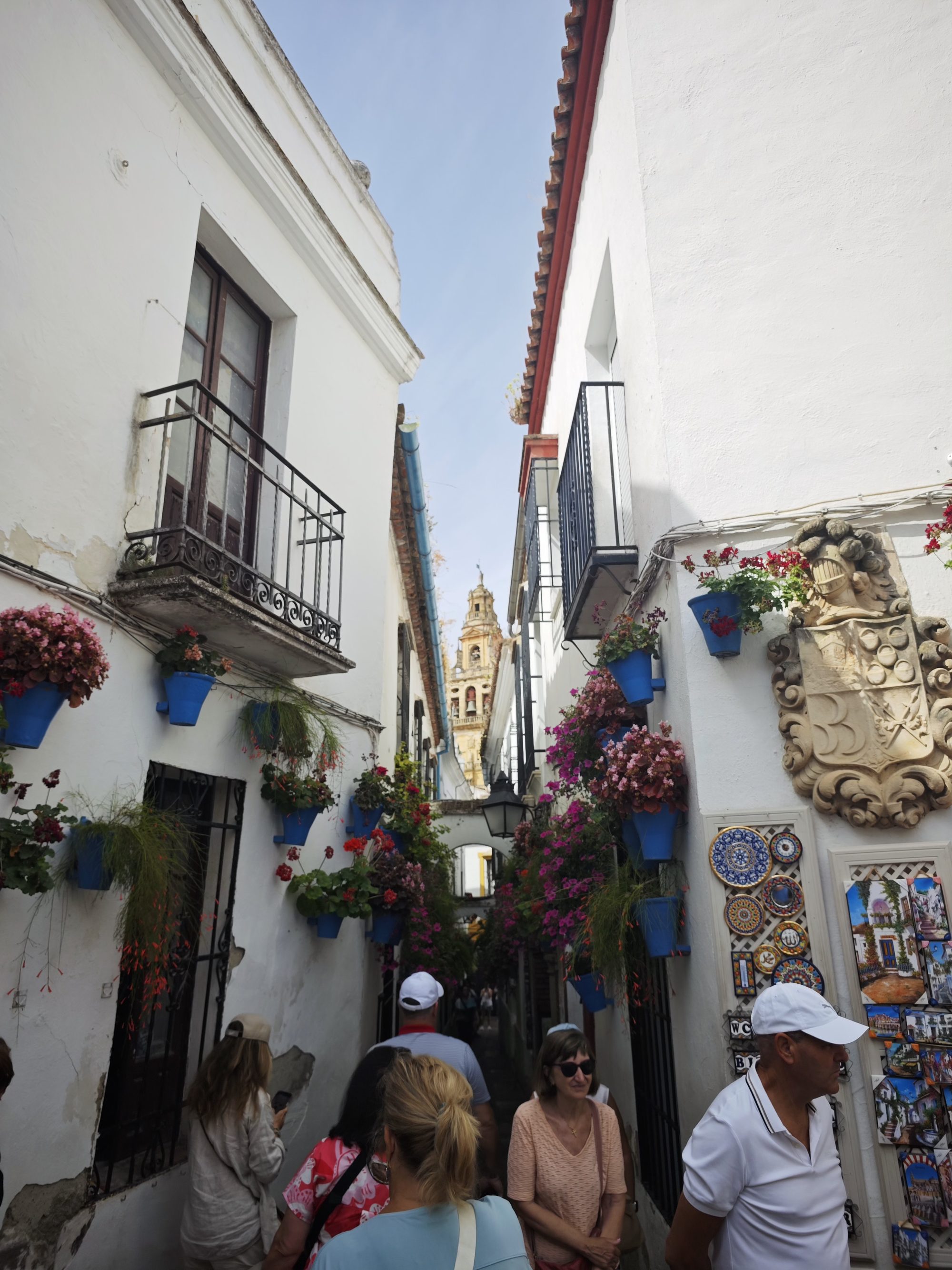 Calleja de las Flores en Córdoba con fachadas blancas, macetas azules y la torre campanario.