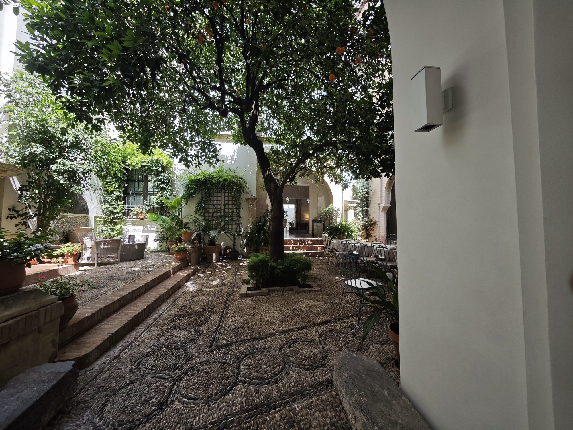 Patio interior cordobés con suelo de empedrado tradicional, un gran naranjo y vegetación abundante.