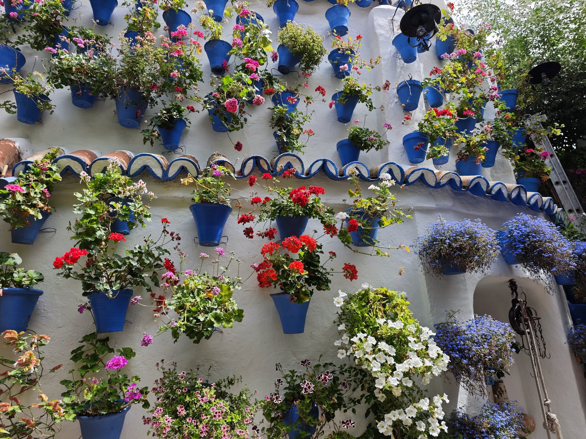 Pared blanca repleta de macetas azules con flores multicolores en un patio tradicional.