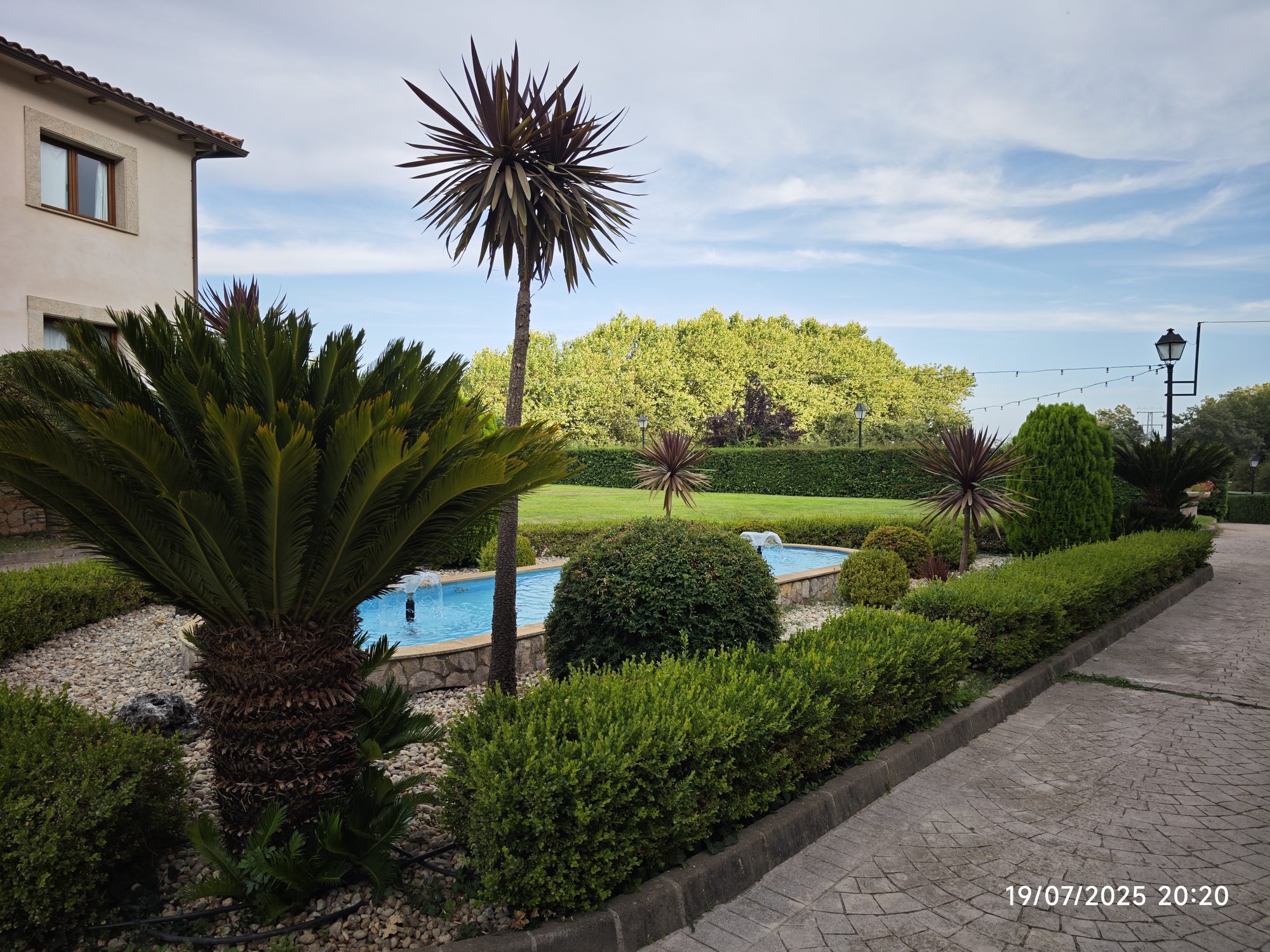 Jardín con palmeras, arbustos recortados y estanques azules junto a un camino pavimentado.