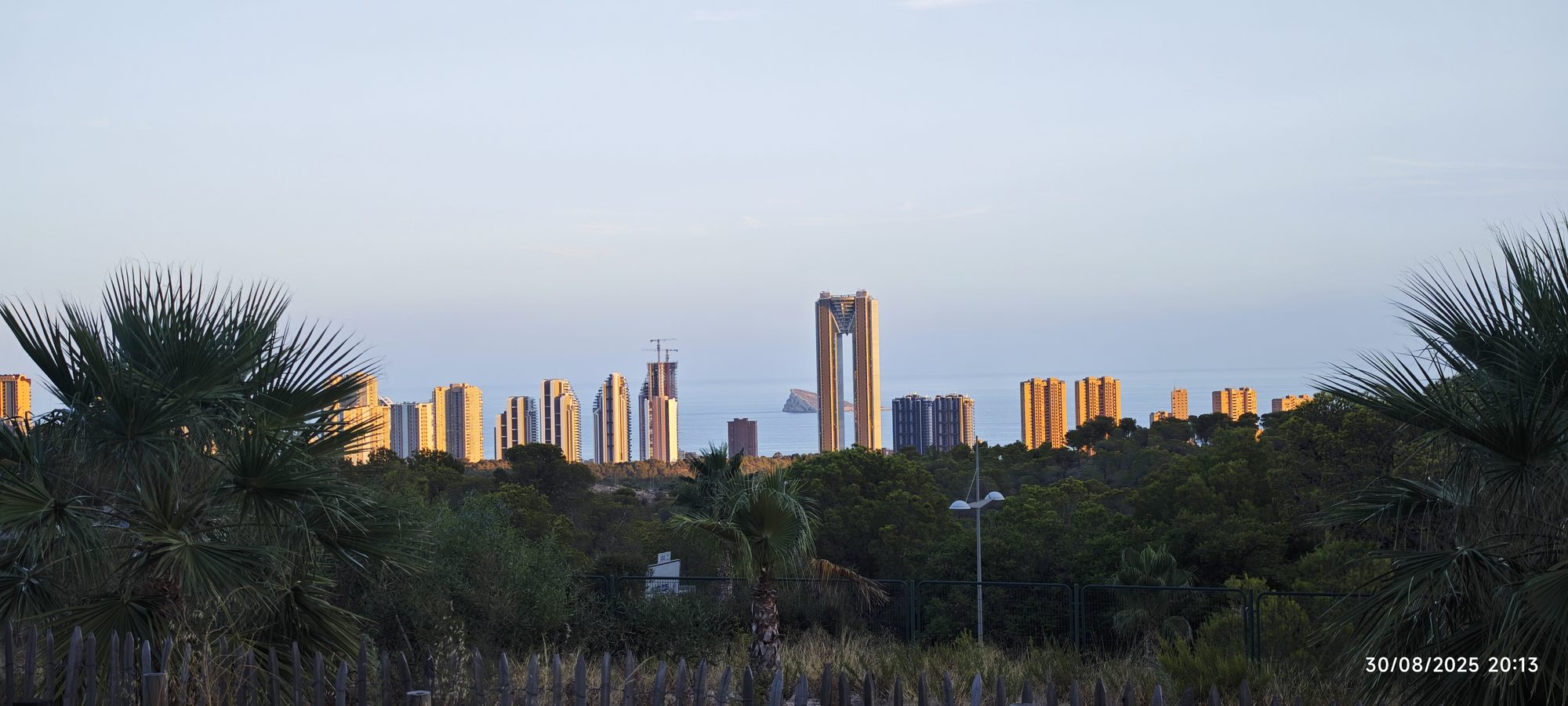 Rascacielos de Benidorm iluminados por el atardecer entre palmeras y vegetación frente al mar