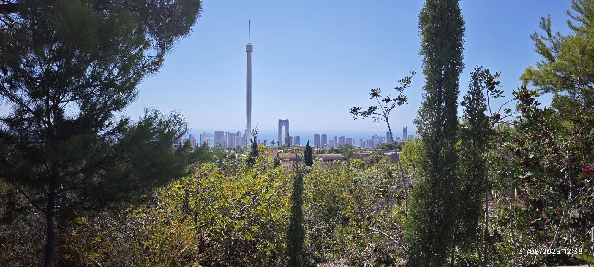 Vista de los rascacielos de Benidorm y una gran torre entre vegetación mediterránea.