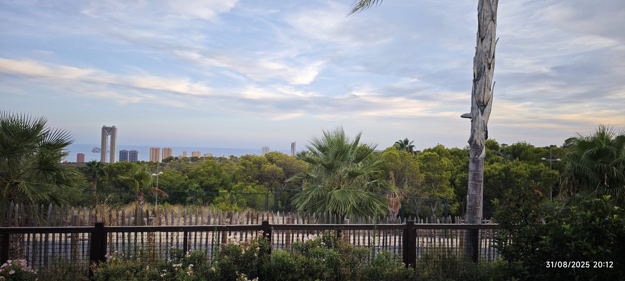 Vista lejana del skyline de Benidorm y el mar tras palmeras y vegetación densa.