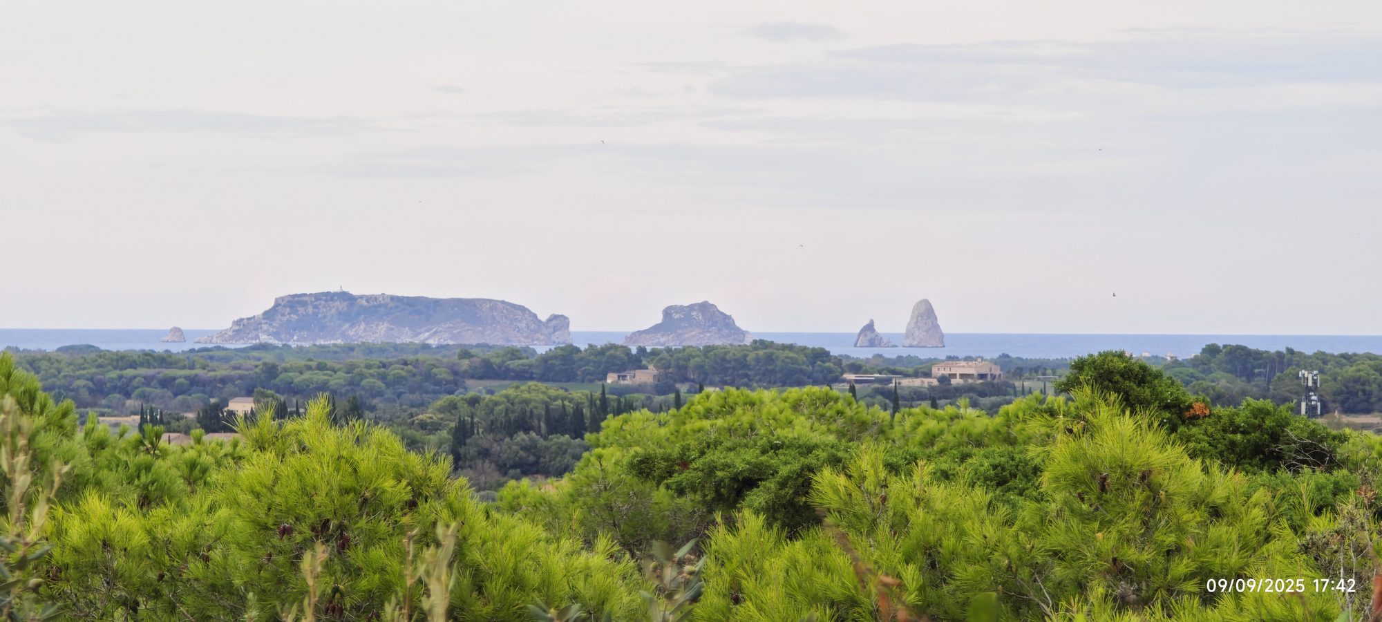 Bosque de pinos con las islas Medes al fondo sobre el mar desde Pals.