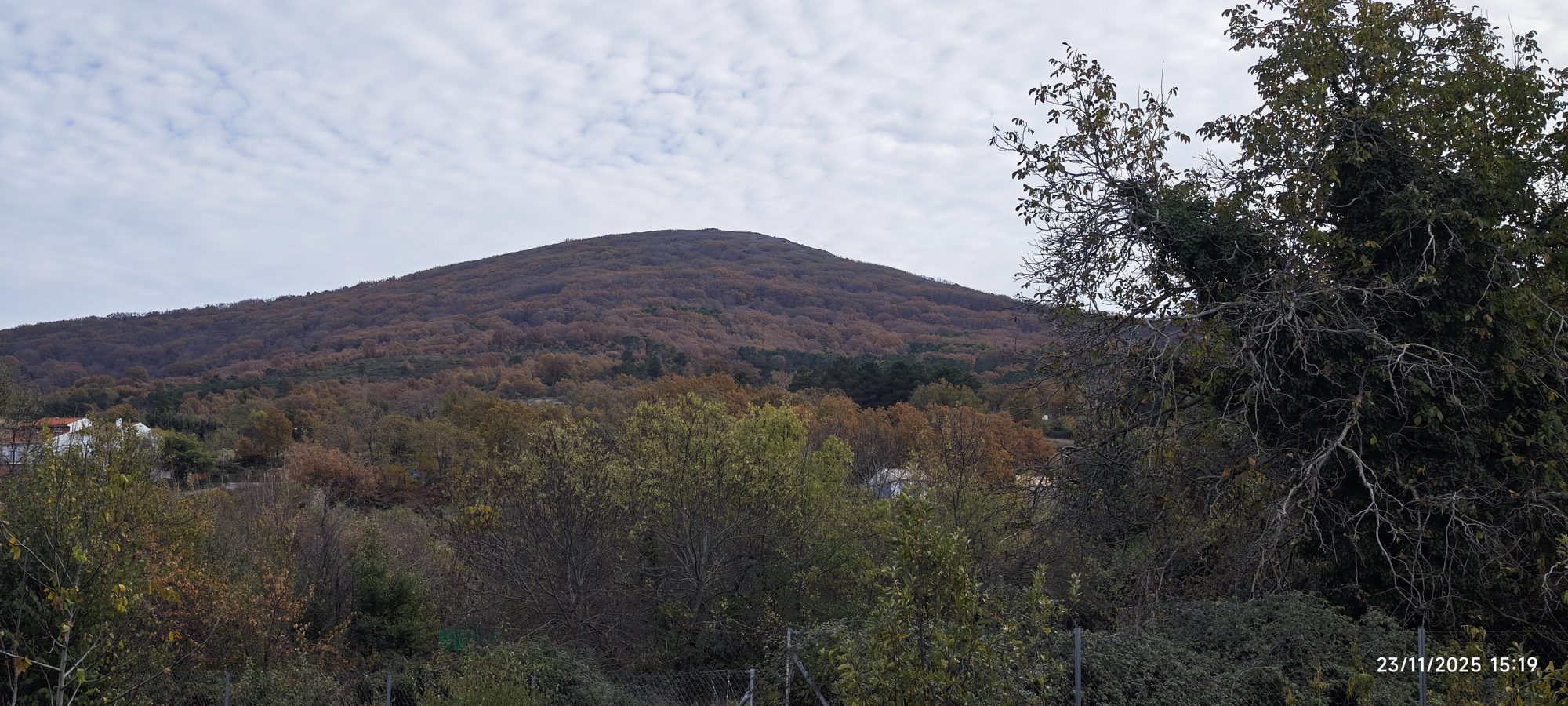 Montaña cubierta de bosques otoñales en tonos cobrizos bajo un cielo nublado.