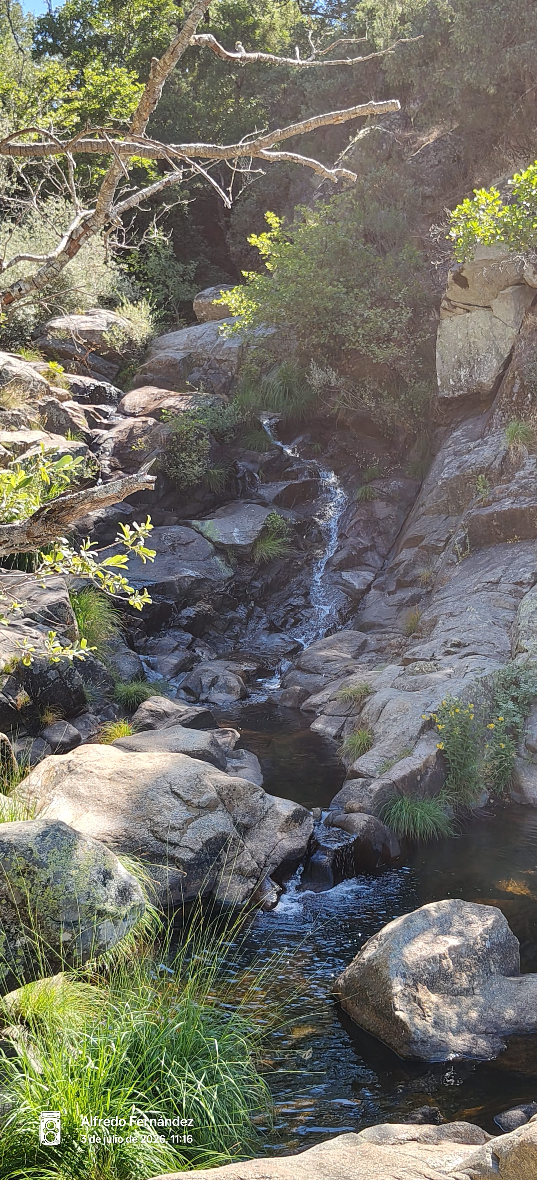 Arroyo de montaña fluyendo entre grandes rocas y abundante vegetación silvestre.