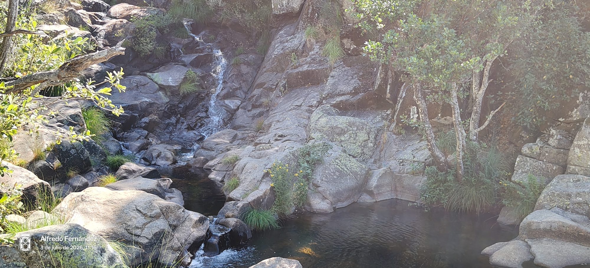 Pequeña cascada fluyendo entre rocas hacia una poza natural rodeada de vegetación.