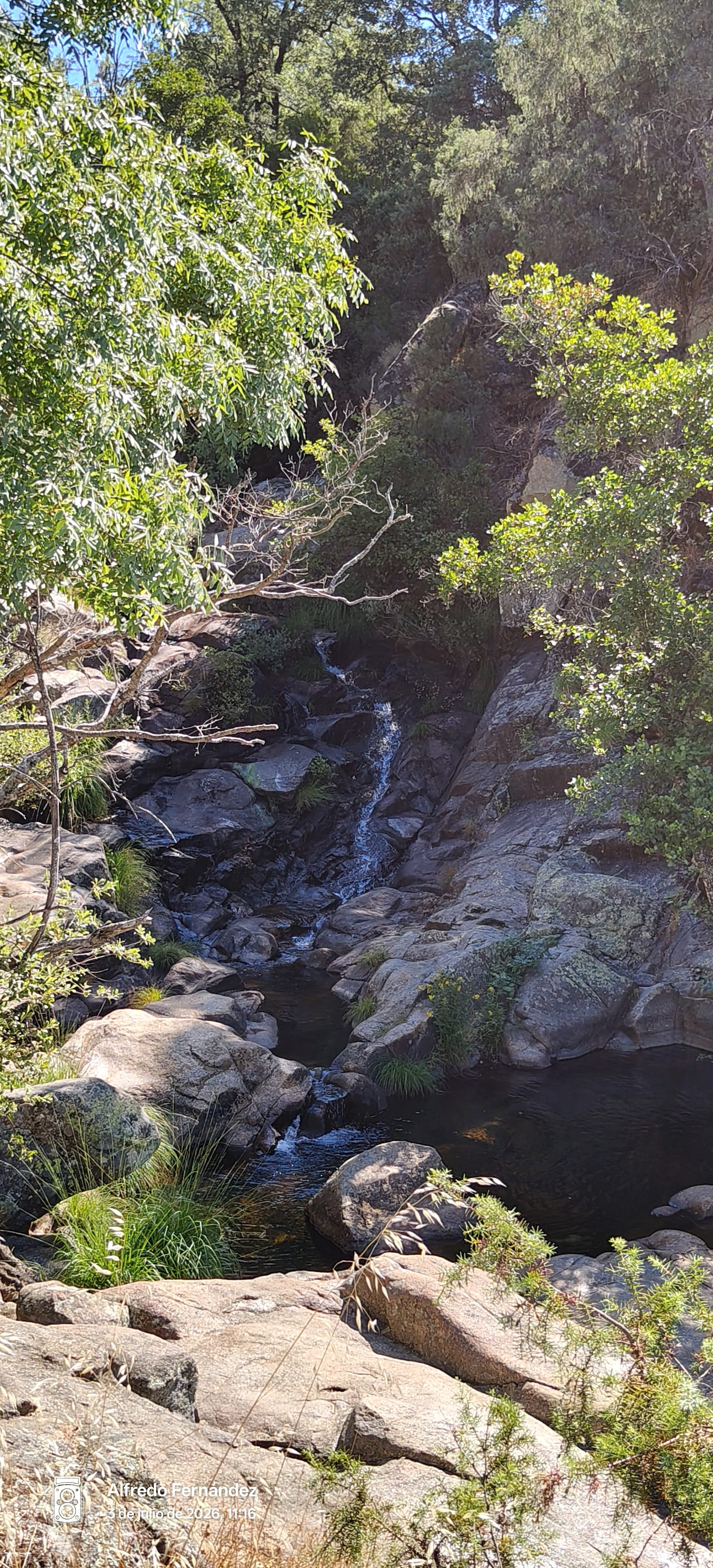 Pequeña cascada fluyendo entre rocas oscuras rodeada de densa vegetación y árboles.