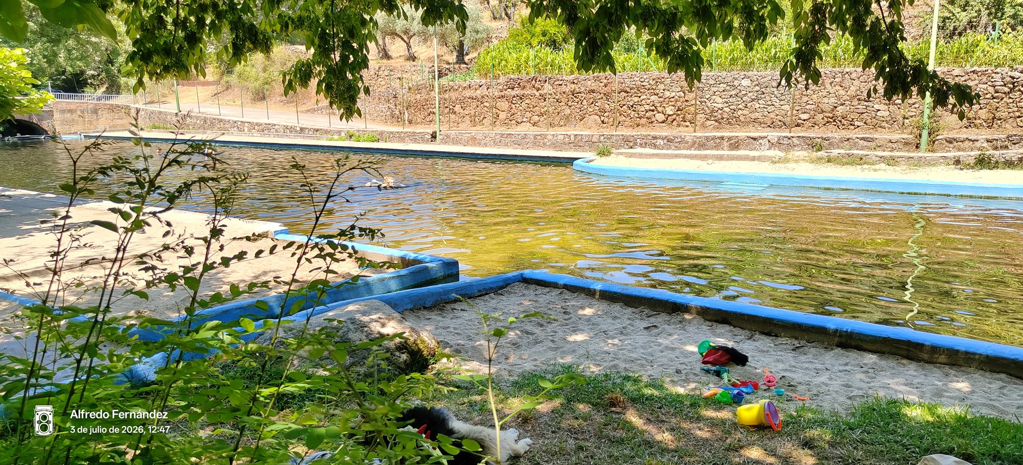 Piscina natural con agua verdosa, bordes azules y zona de arena rodeada de vegetación.