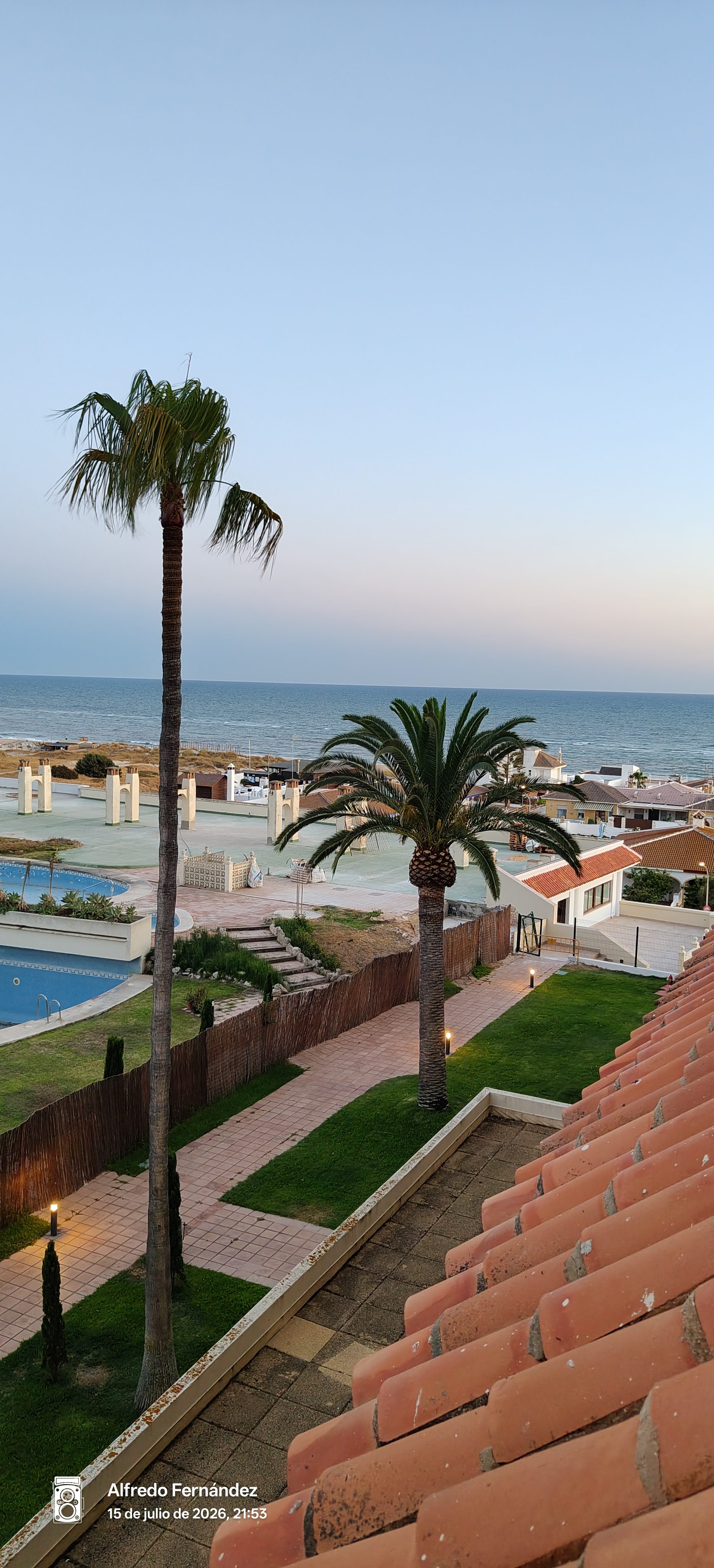 Vistas al mar desde una terraza con palmeras y tejados de tejas rojas