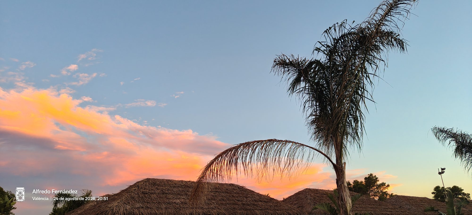 Palmera y techos de paja bajo un cielo con nubes rosadas al atardecer.
