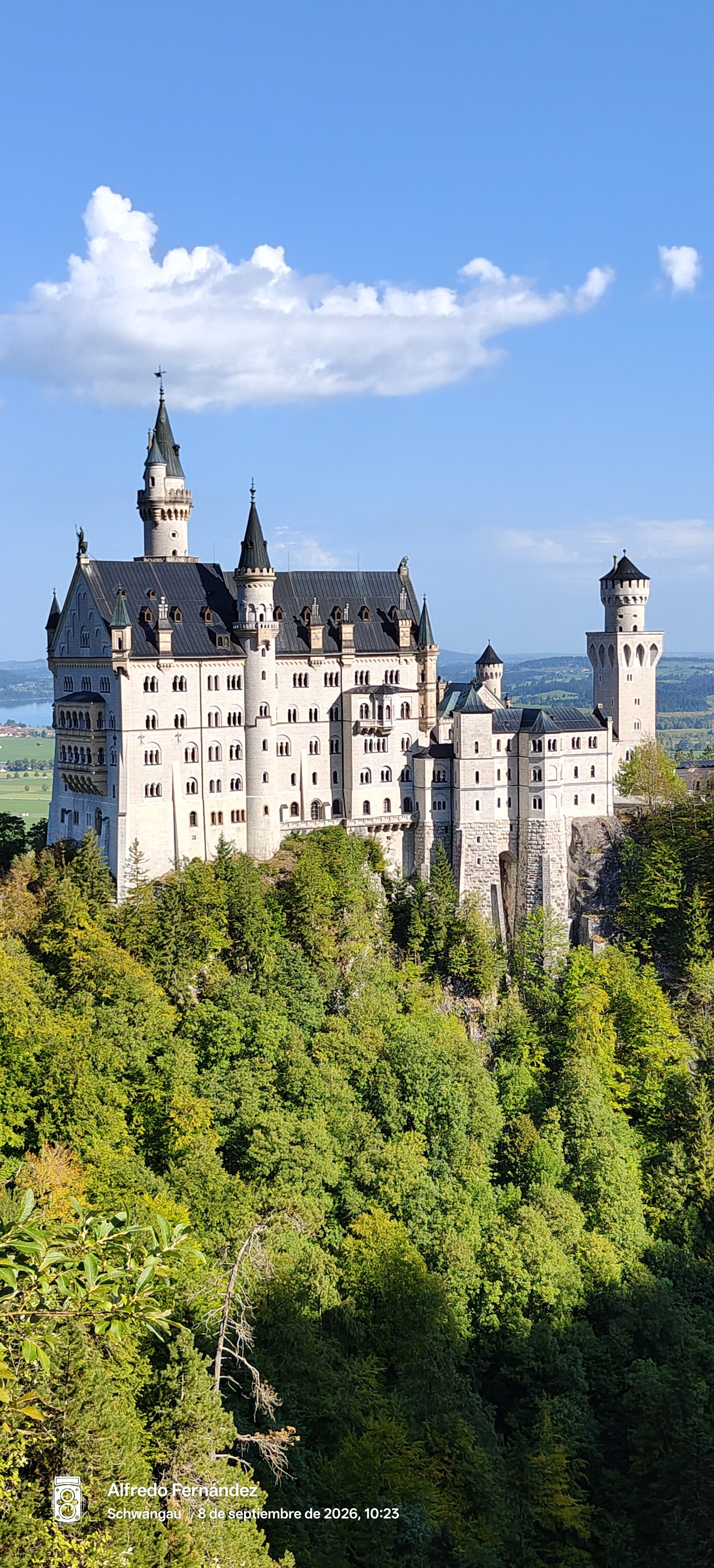 Castillo de Neuschwanstein alzándose sobre un frondoso bosque verde bajo un cielo azul despejado.