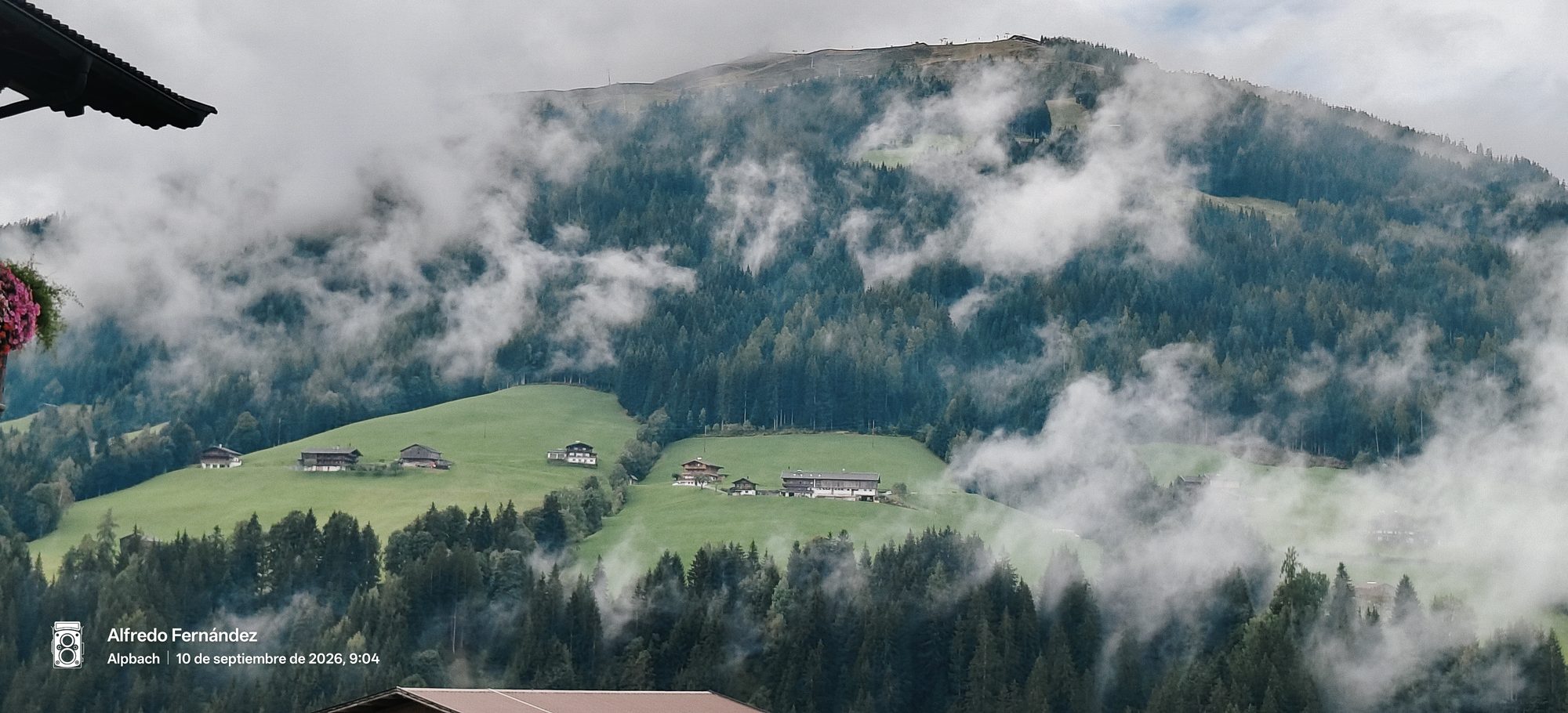 Casas alpinas en prados verdes rodeadas de bosques de coníferas cubiertos de niebla matinal.