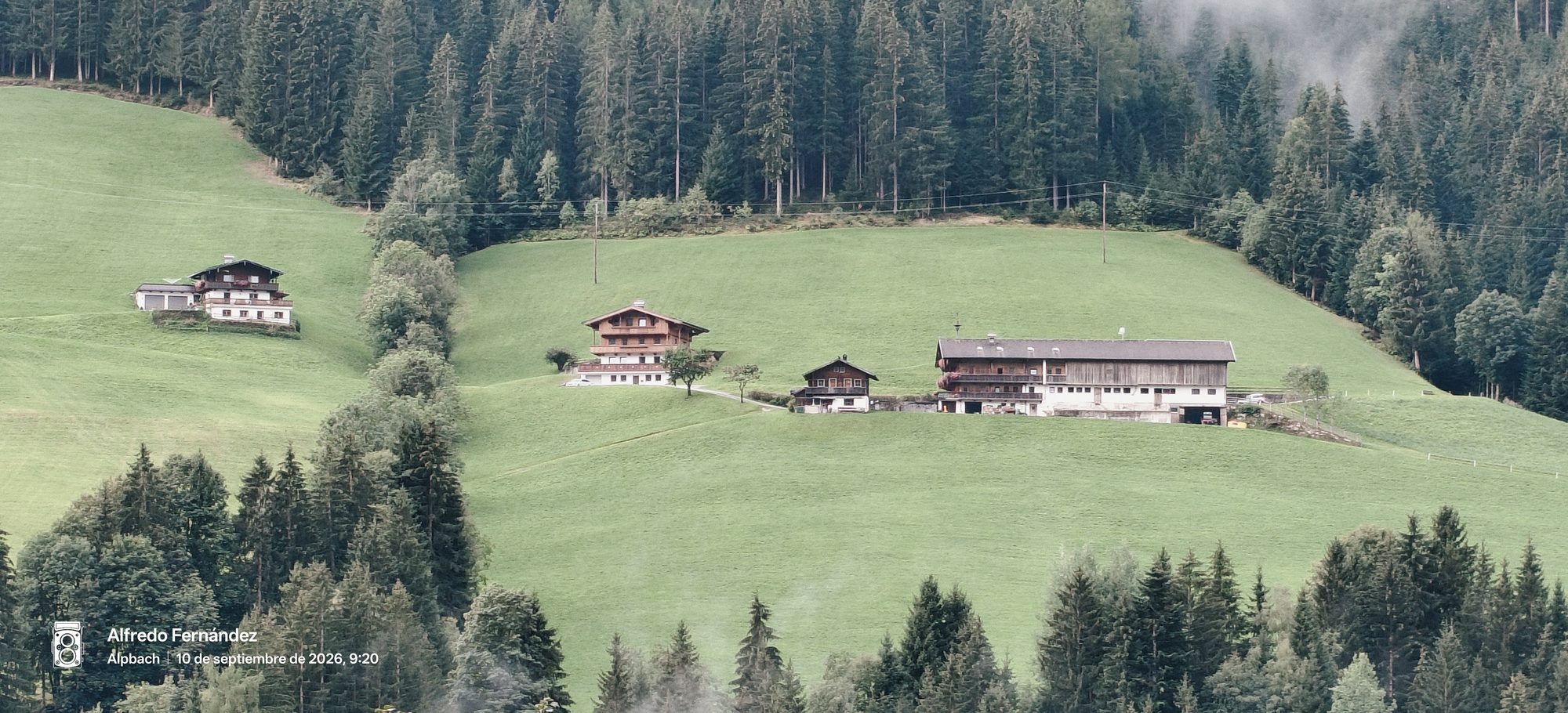 Casas alpinas tradicionales de madera sobre colinas verdes rodeadas de frondosos bosques de pinos.