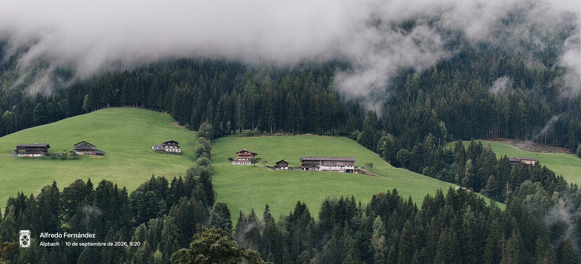 Casas alpinas tradicionales en verdes praderas rodeadas de densos bosques cubiertos por niebla.