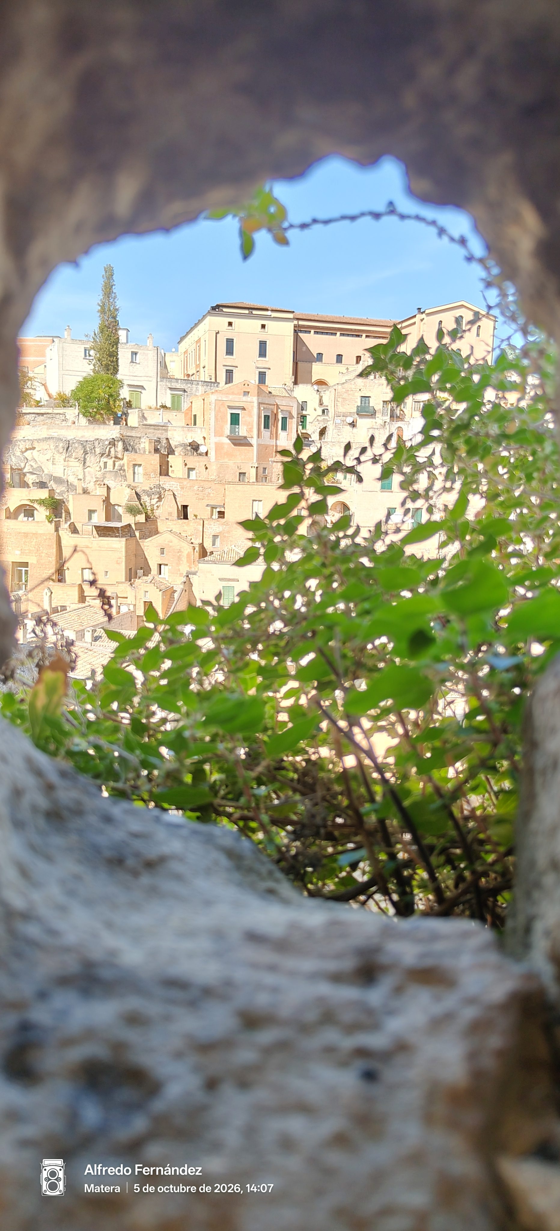 Casas históricas de Matera enmarcadas por una abertura de roca y hojas verdes.