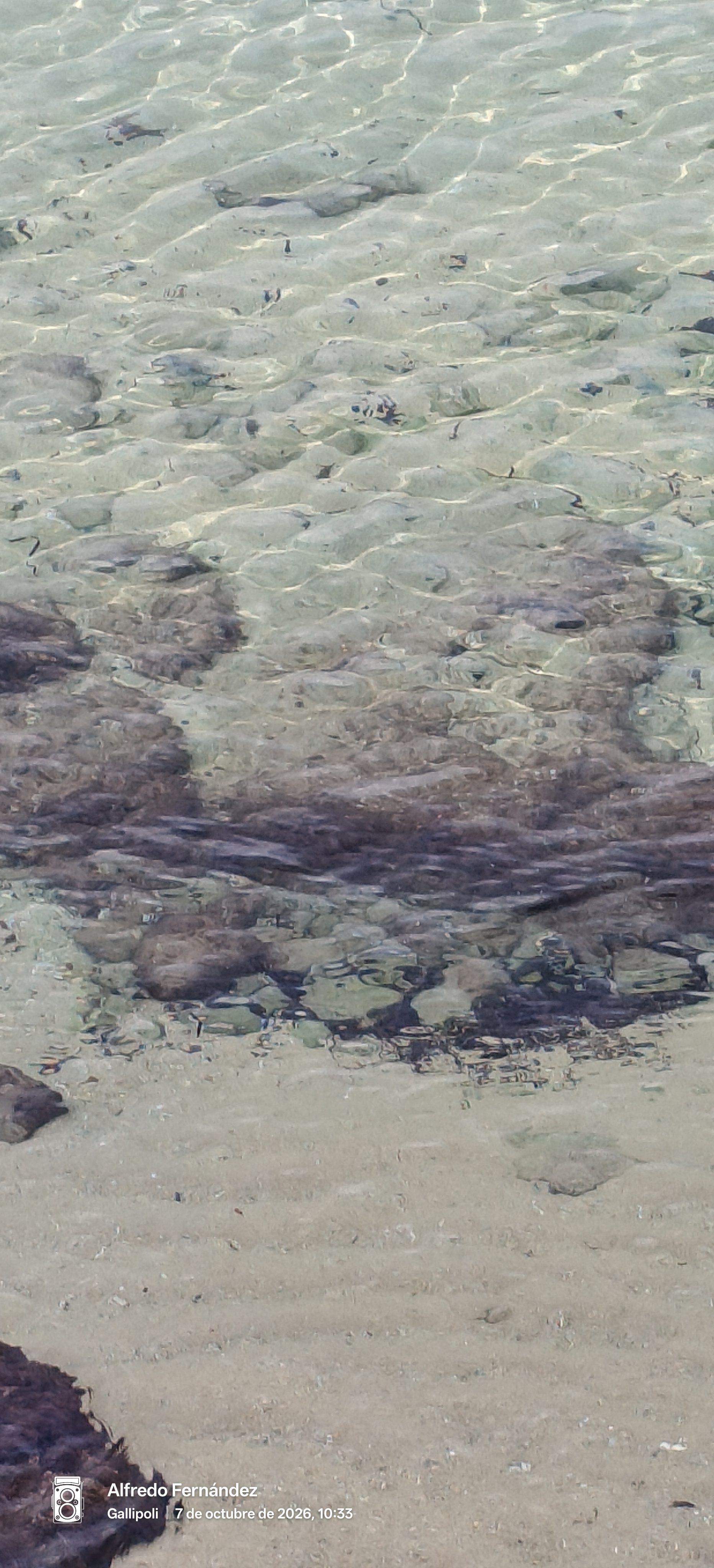 Agua marina cristalina y poco profunda sobre fondo de arena y rocas.