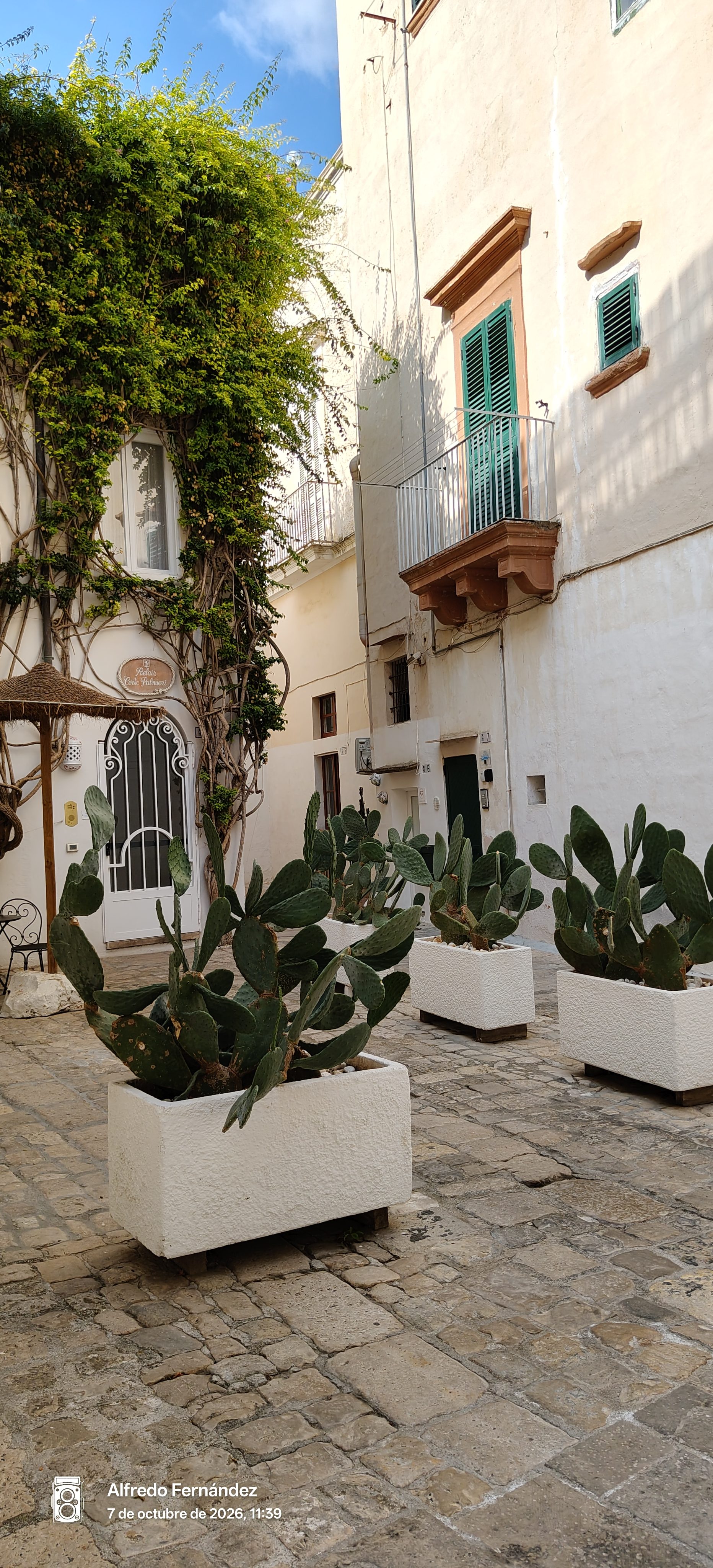 Patio adoquinado con jardineras de chumberas y fachadas blancas con vegetación trepadora.