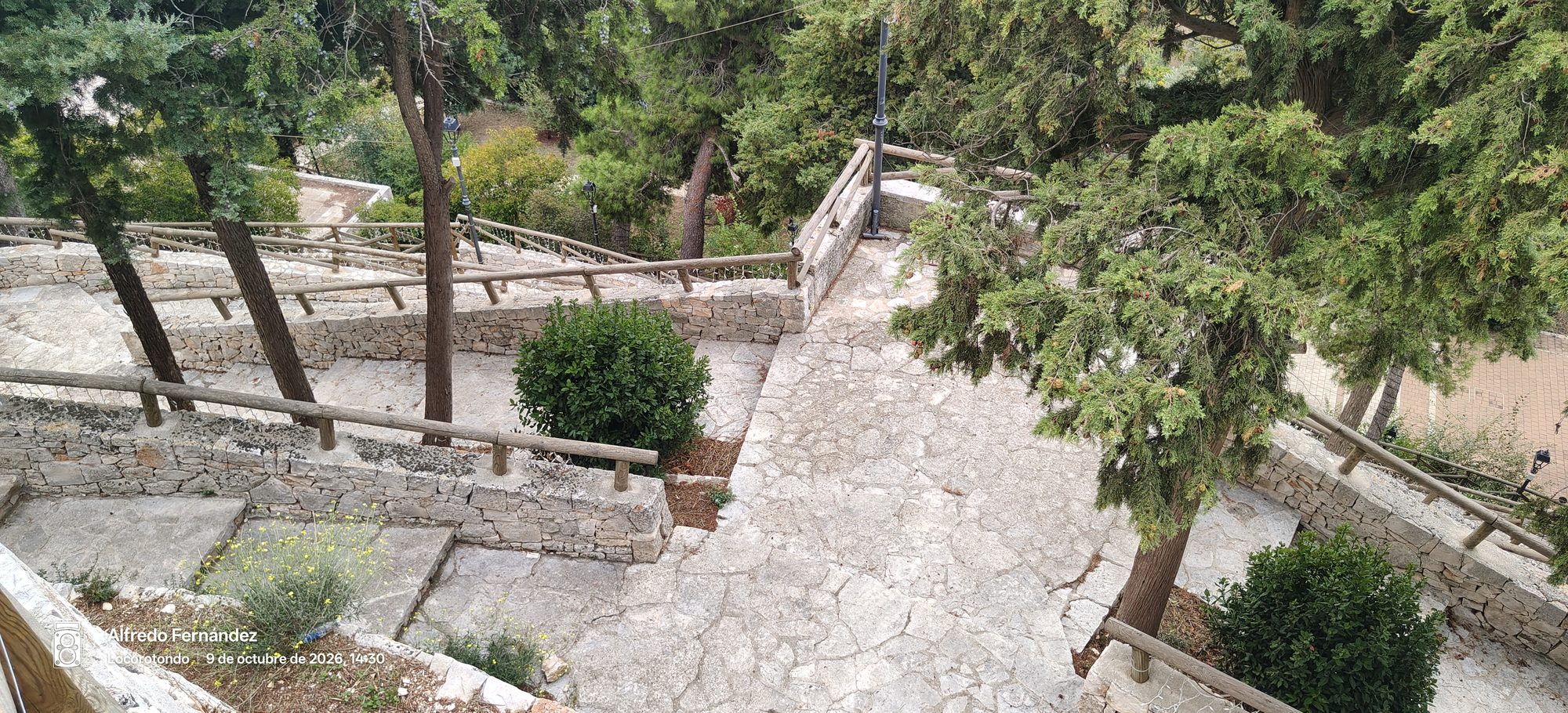 Senderos escalonados de piedra con barandillas de madera rodeados de pinos y vegetación.