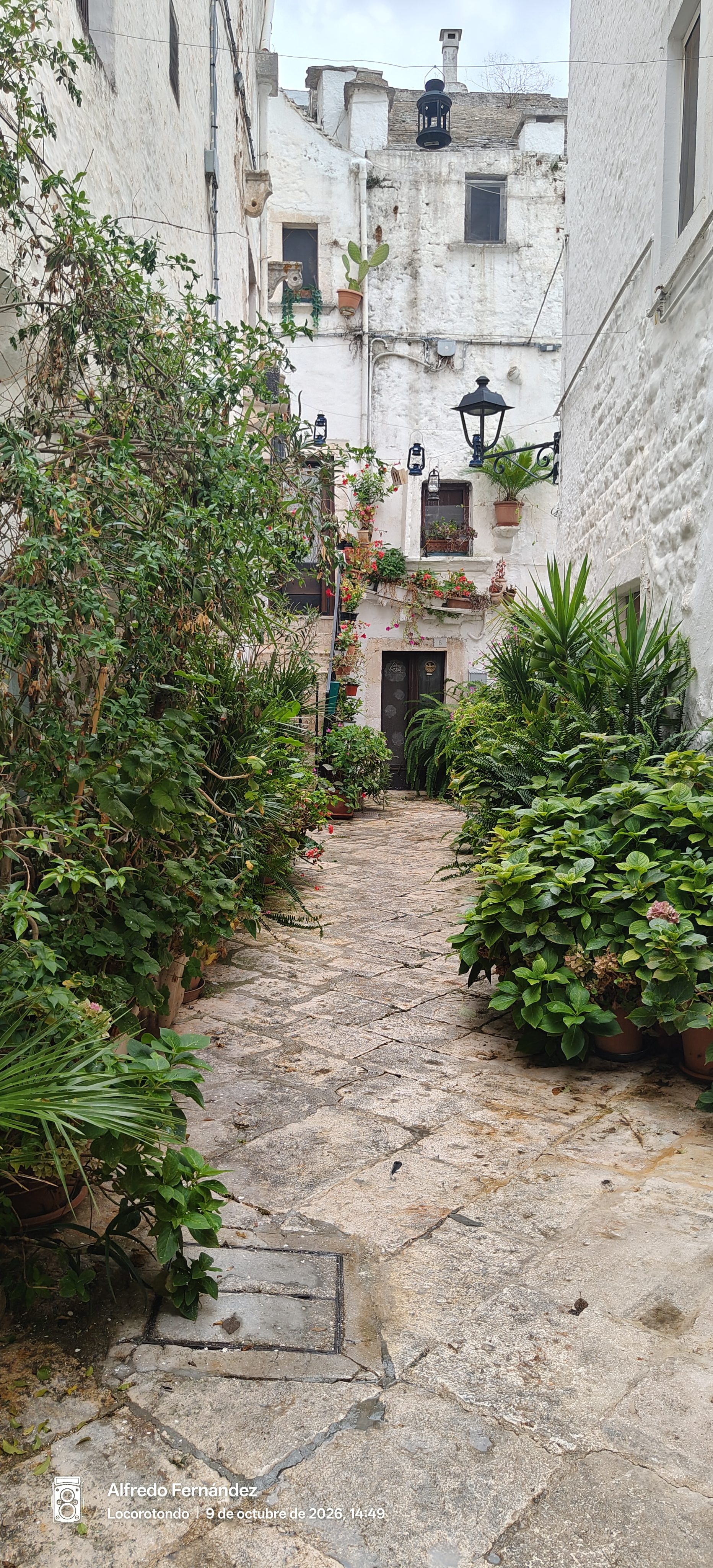 Callejuela empedrada con casas blancas tradicionales y abundantes plantas en macetas en Locorotondo.