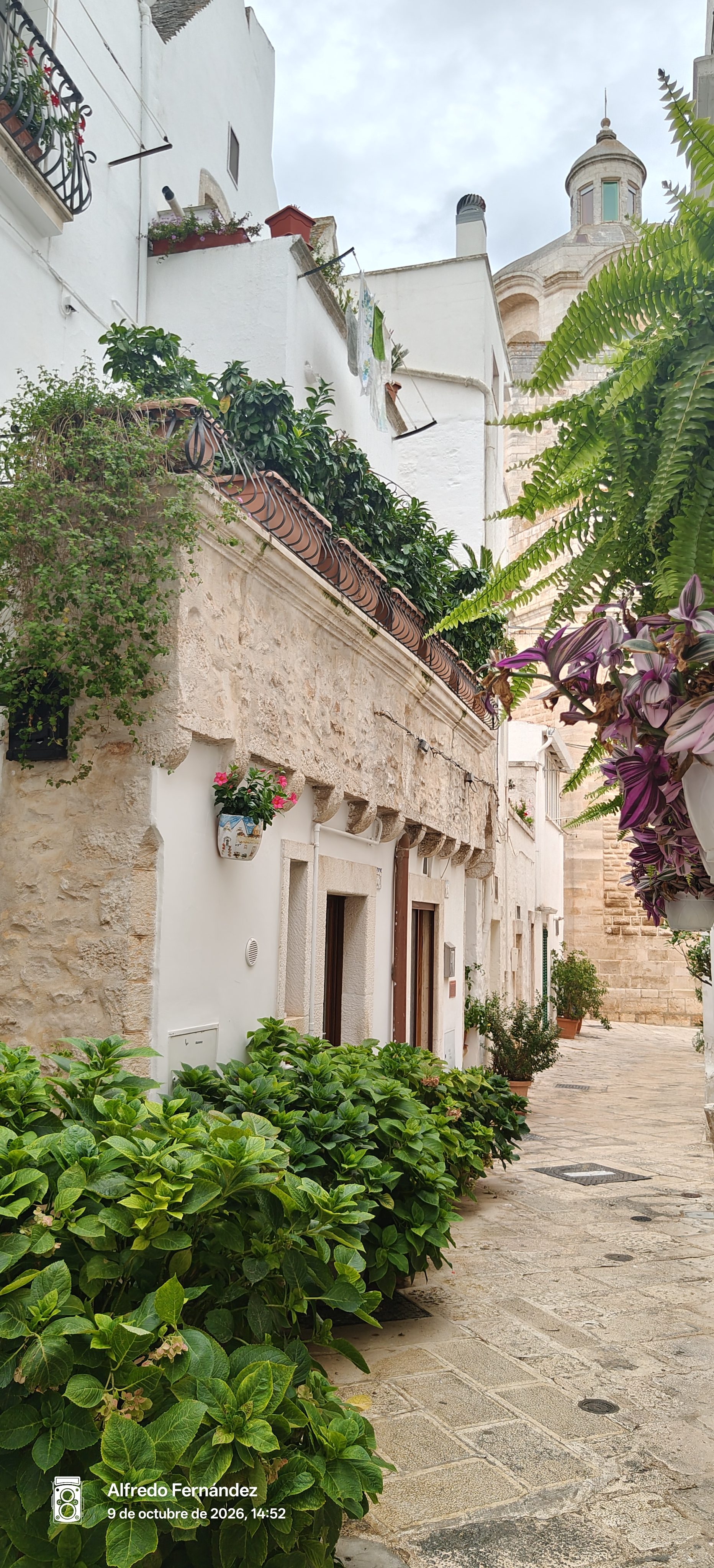 Callejón empedrado con casas encaladas adornadas con plantas y una torre al fondo