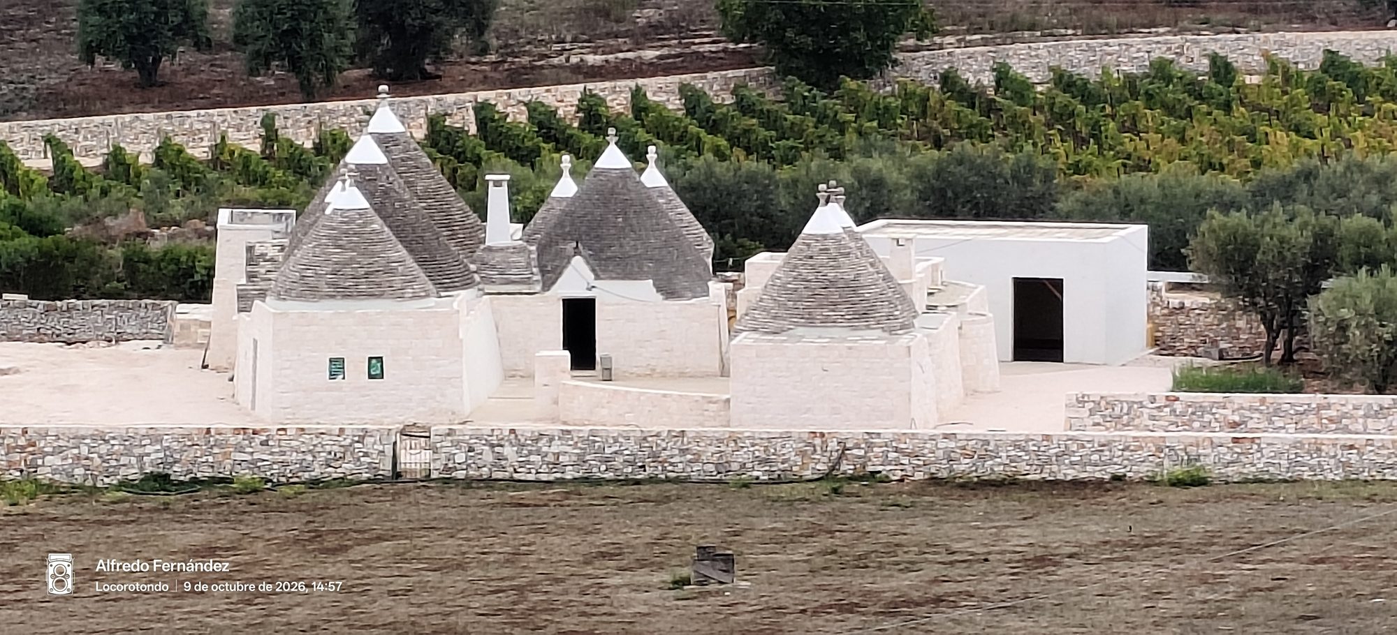 Trulli tradicionales de piedra blanca con techos cónicos rodeados de viñedos y olivos.