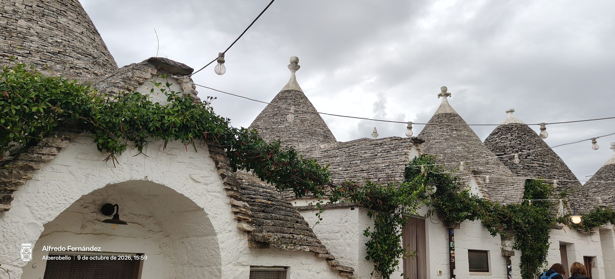 Tejados cónicos tradicionales de piedra de trullis blancos con enredaderas bajo cielo nublado.
