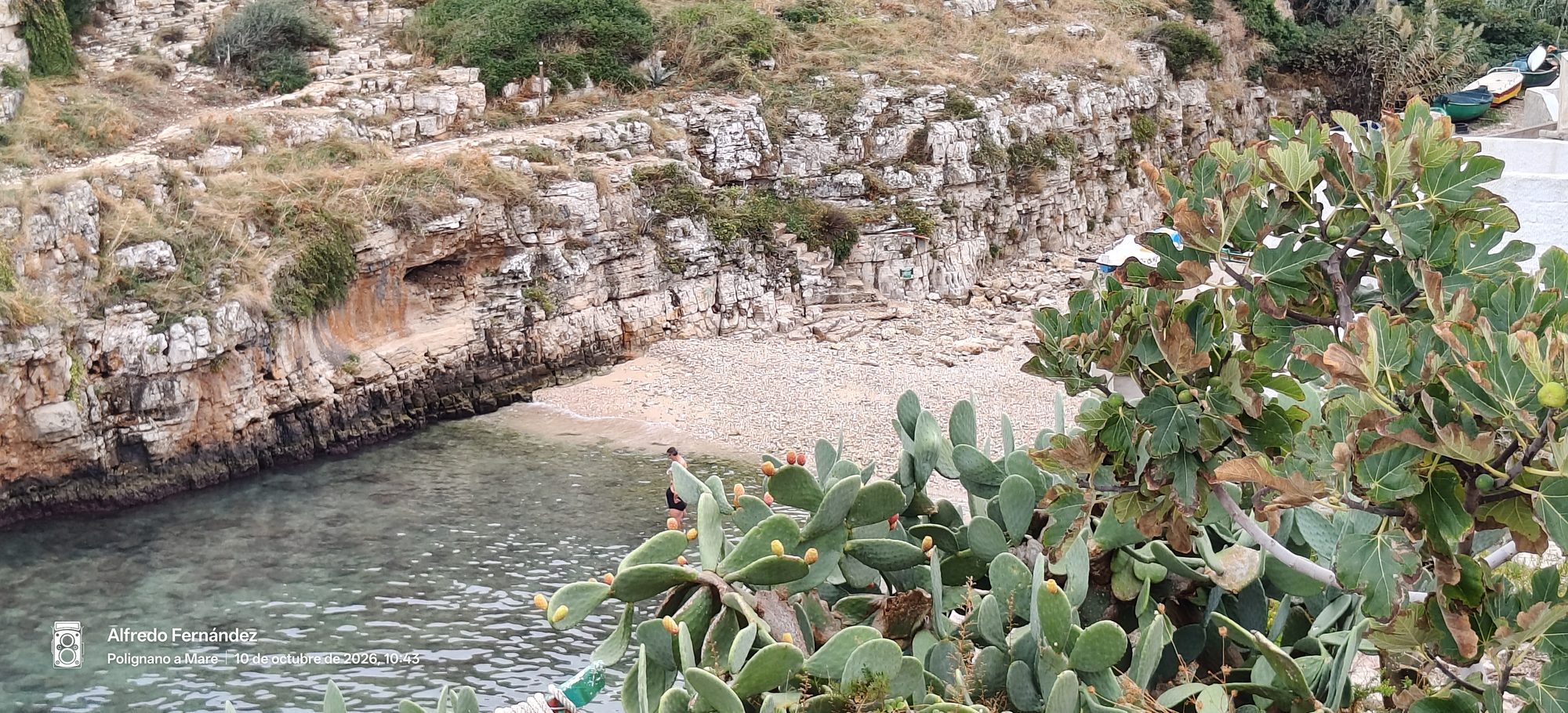 Cala de aguas cristalinas entre acantilados rocosos y chumberas en Polignano a Mare.