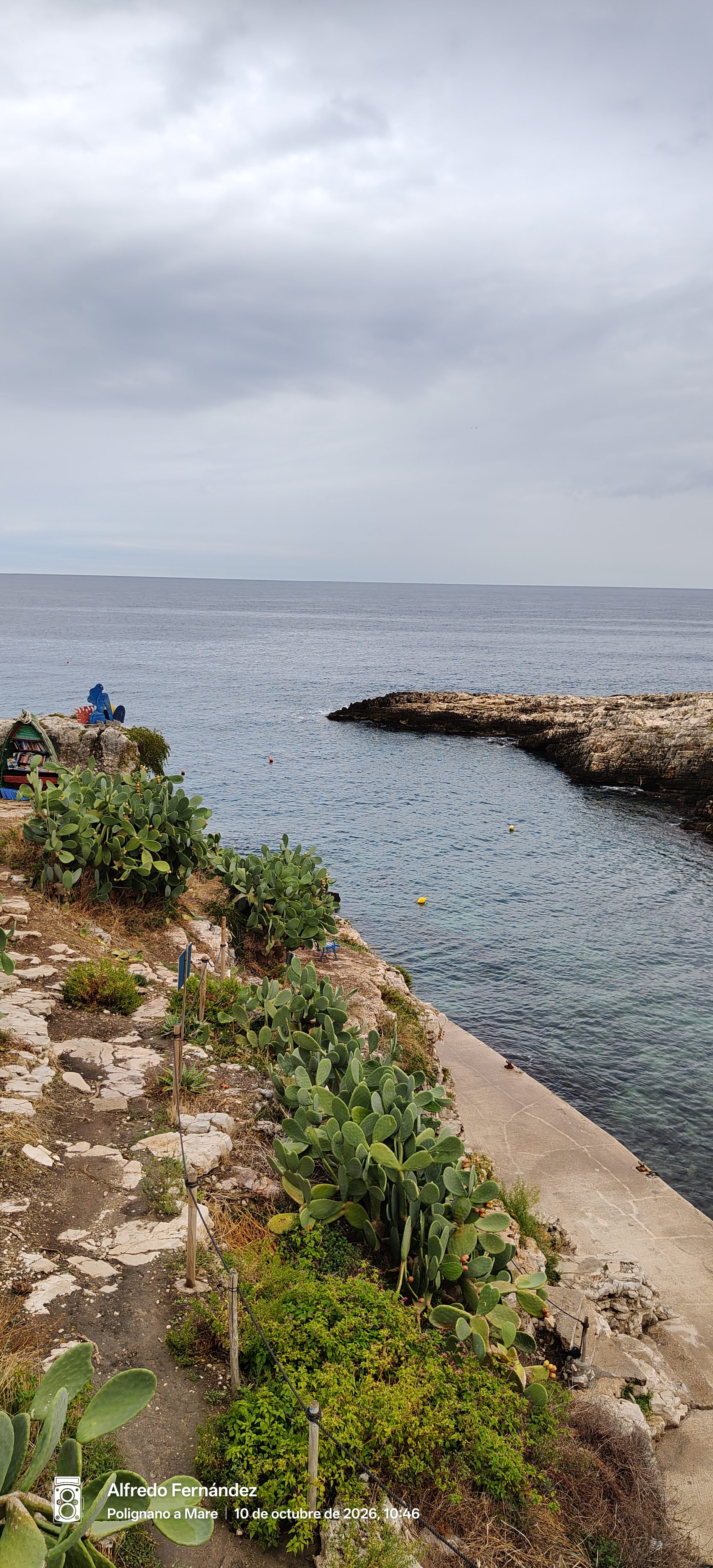 Acantilado rocoso cubierto de chumberas junto al mar Adriático bajo el cielo nublado.