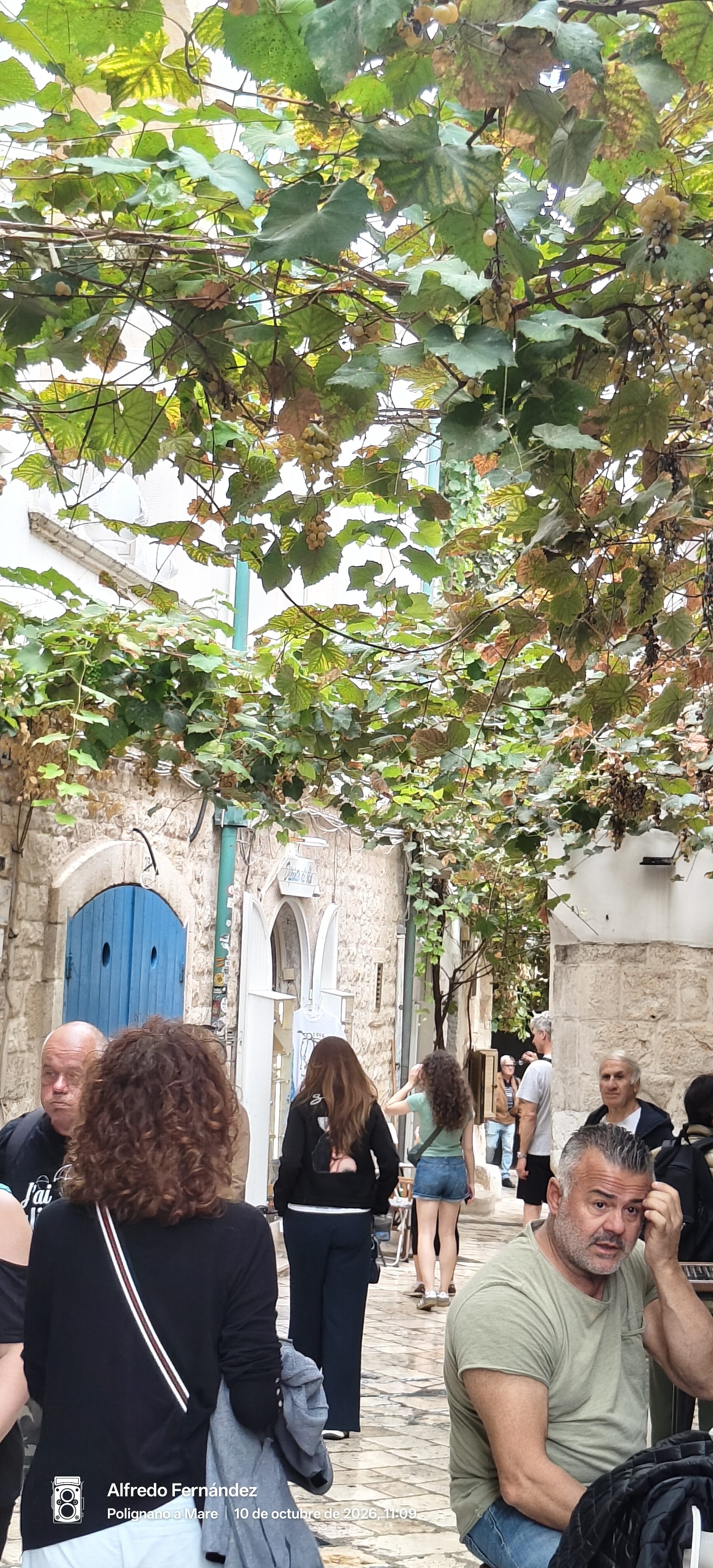Callejón empedrado cubierto por una frondosa parra con racimos de uva.