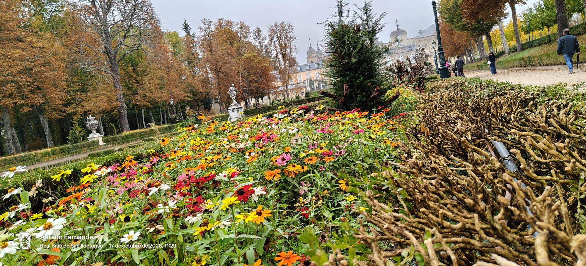 Flores multicolores en los jardines otoñales del Palacio Real de La Granja.
