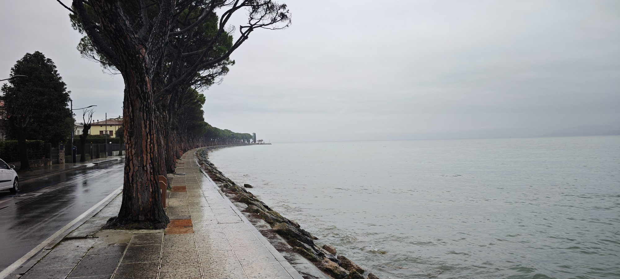 Paseo de piedra bordeado de pinos junto a la orilla del lago Garda.