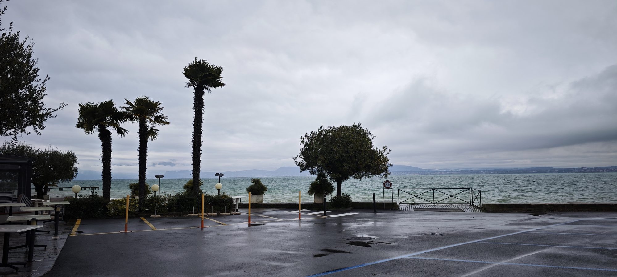 Palmeras junto al lago de Garda bajo un cielo nublado en Sirmione.