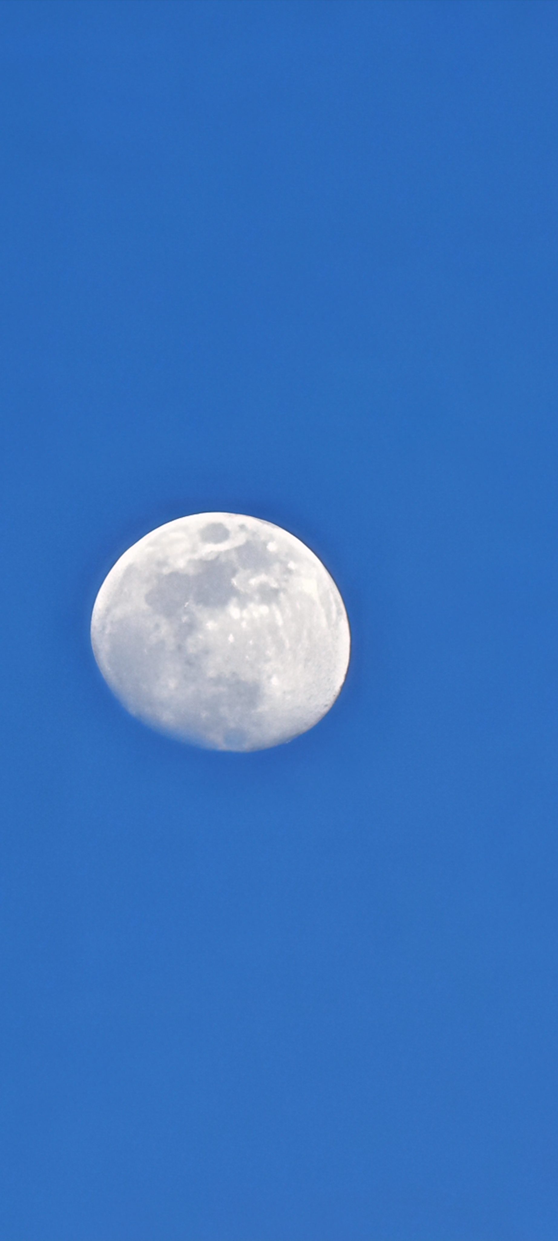 Luna casi llena destacando sobre un cielo azul despejado durante el día.